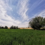 内蒙古希尼套海:转了思路 美了环境 富了百姓