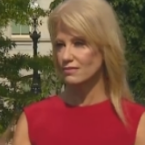 我打脸我自己？美国白宫顾问“反咬”各州复工过早