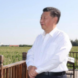 海报｜习近平在吉林考察