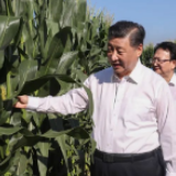 第一观察 | 从总书记吉林考察看治国理政战略支点