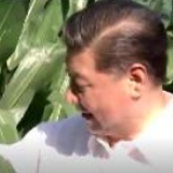 时政微周刊丨总书记的一周（7月20日—7月26日）