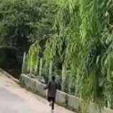云南一高考生查出成绩后飞奔到菜地告诉爷爷