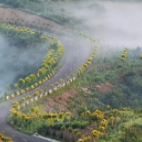黄土高原上的旅游示范路