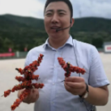 小康生活什么样？这里的答案是：天蓝水清药茶香