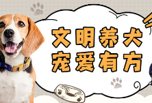 犬只禁入，有人却在“躲狗狗”