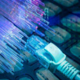 羊城晚报：10兆带宽每年收费1万多？谁给的物业权力“卡脖子”