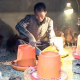 你笑起来真好看｜“山鸡哥”单腿“蹦”出致富路