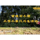 你笑起来真好看丨盲嫂石小菊 不等不靠只为生活好