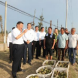 一见·总书记去的这个蓄洪区，为何能创下7小时速度？