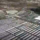 【幸福花开新边疆】西藏隆子县：靠“菜篮子”就业 年入十万不是梦