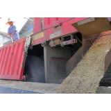 江西南昌:早稻收购 颗粒归仓