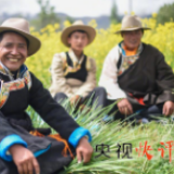 【央视快评】长期坚持全面贯彻新时代党的治藏方略