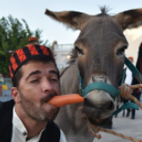 骑上我心爱的小毛驴