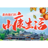 贾家庄迈上小康路（走向我们的小康生活）