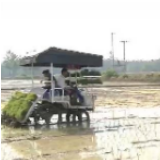 抓农时抢进度 毫不放松抓好粮食生产