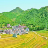 激活力 挖潜力 强动力——江苏苏州强化“三力”精准帮扶贵州铜仁