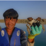 买买江·艾尼：我在“死亡之海”抓螃蟹