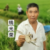 红红小龙虾成为致富法宝, “火”了彭泽农民的日子