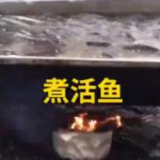 “煮活鱼”！这火候妙啊~