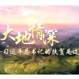 大地情深——习近平总书记的扶贫足迹