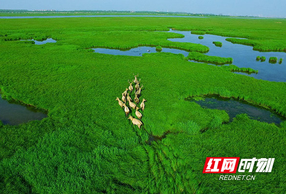 你是我的诗篇，读你的感觉像春天 | 26℃的湖南②