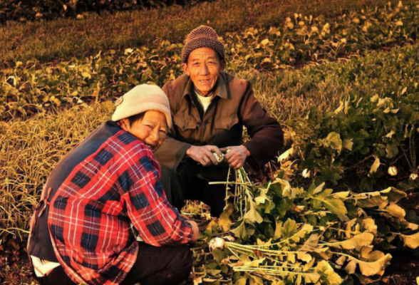 湖南省10部门联合发文 加快推动农村养老服务高质量发展