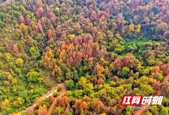 再添3处国家级天然氧吧 解锁“醉氧”湖南的生态密码