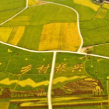 农业稳产保供 加快乡村振兴——中央农村工作会议在三湘大地引起热烈反响