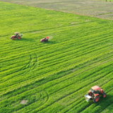 大地回暖春耕忙