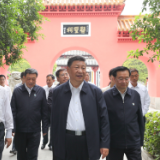 鉴往知来，跟着总书记学历史｜传承创新中，擦亮中医药这块金字招牌