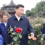 一见·看南阳的一花一“草”，因为重视这件大事