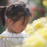 习近平河南行丨共享生态美景 助推乡村振兴——走进南阳月季博览园