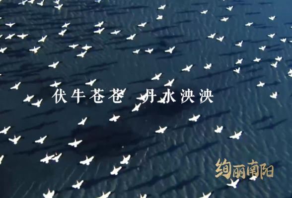 绚丽南阳