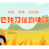 “安苗”“煮梅”“送花神”……芒种习俗趣味多！