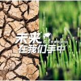 未来，在我们手中