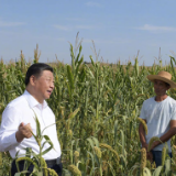 独家视频丨习近平在陕西榆林考察调研