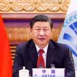 20年，很多国际组织衰落了，它却不断壮大