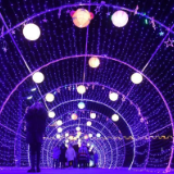 赏灯游园度新春