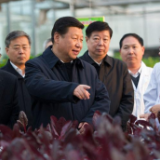 看中国·千家万户的事丨山东:给农业插上科技的翅膀 助力端稳中国粮