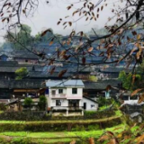 “兵支书”张五全：褪下军装 建功家乡