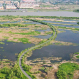 哈尔滨:夏日“湿”情画意
