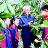 保护野生植物，国家植物园只是一个新开始