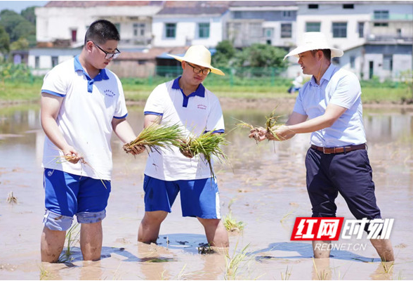 湖南师大附中梅溪湖中学：学生劳动实践基地落户“博士村”