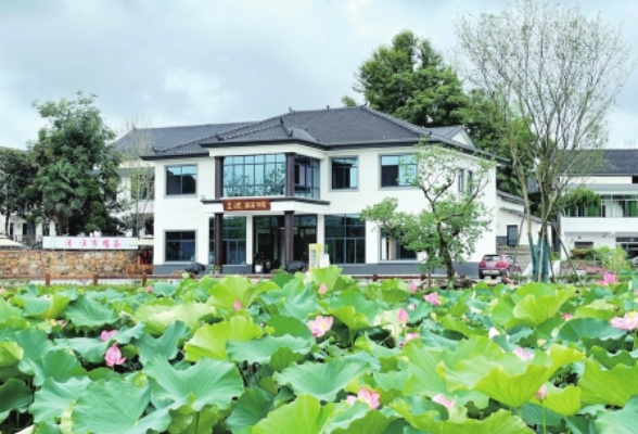 在清溪，馥郁书香里说巨变