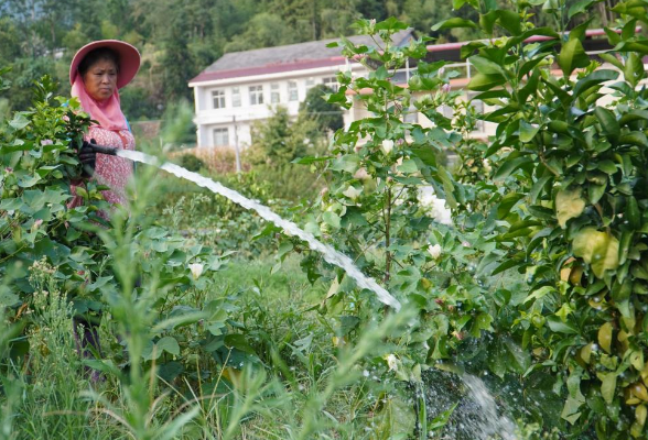 新华网丨湖南省慈利县北平村抗旱记