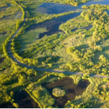 “冰城”湿地展画卷