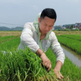 新时代老兵新传 | 刘波:军装换农装 昂首阔步走在乡村振兴的路上