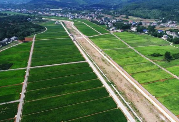 湖南高标准农田建设大旱之年见成效