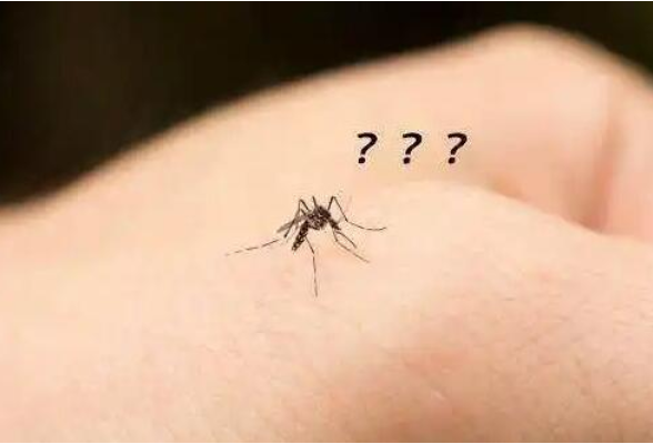 痒痒痒！秋蚊子为什么那么毒？ 省疾控专家：双节外出尽量着浅色衣物