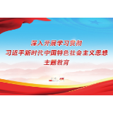 学习贯彻习近平新时代中国特色社会主义思想主题教育深入开展
